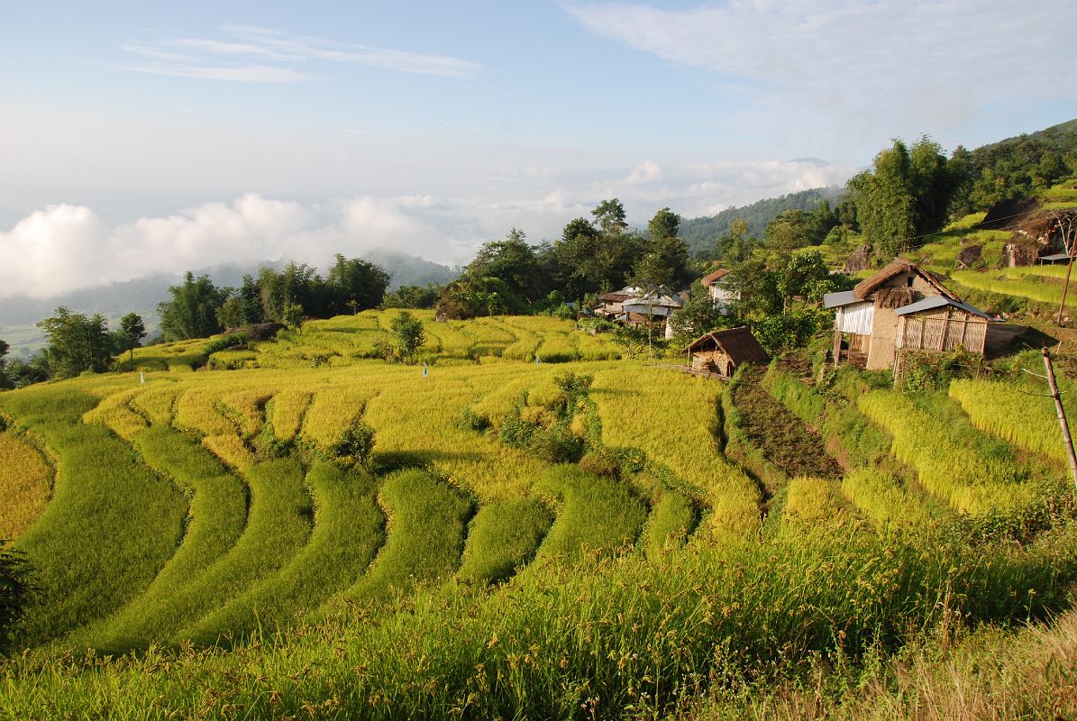 2 5 Local House And Terraced Field On Trek From Sheka Towards Bhotebas